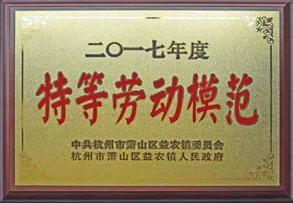honor2